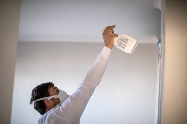 Best Mold Damage Repair  in Panaca, NV