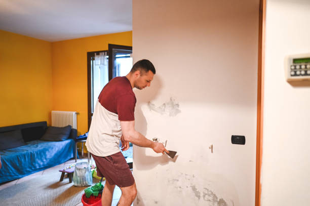 Best Mold Remediation Experts  in Panaca, NV